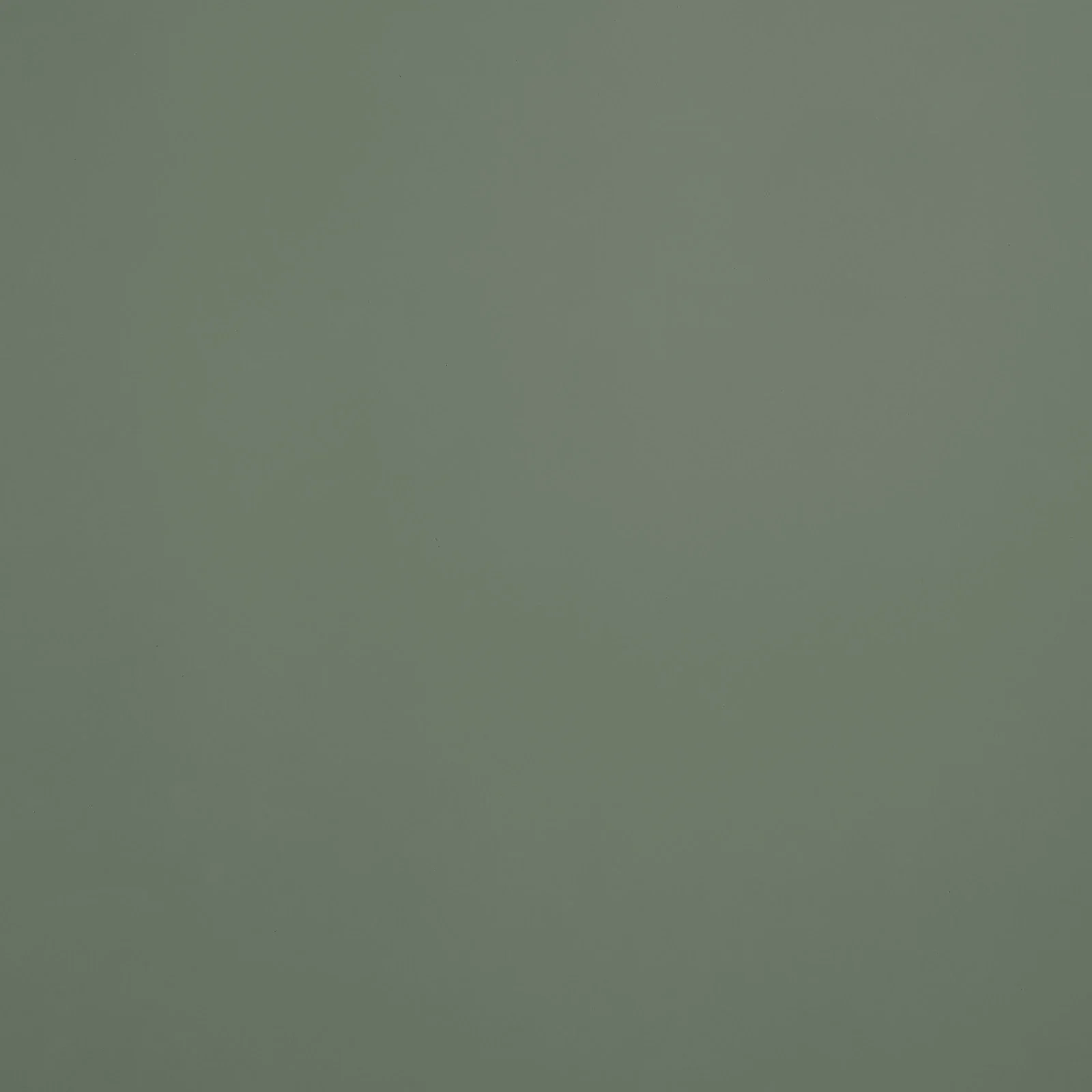 Thyme Painted Material Sample
